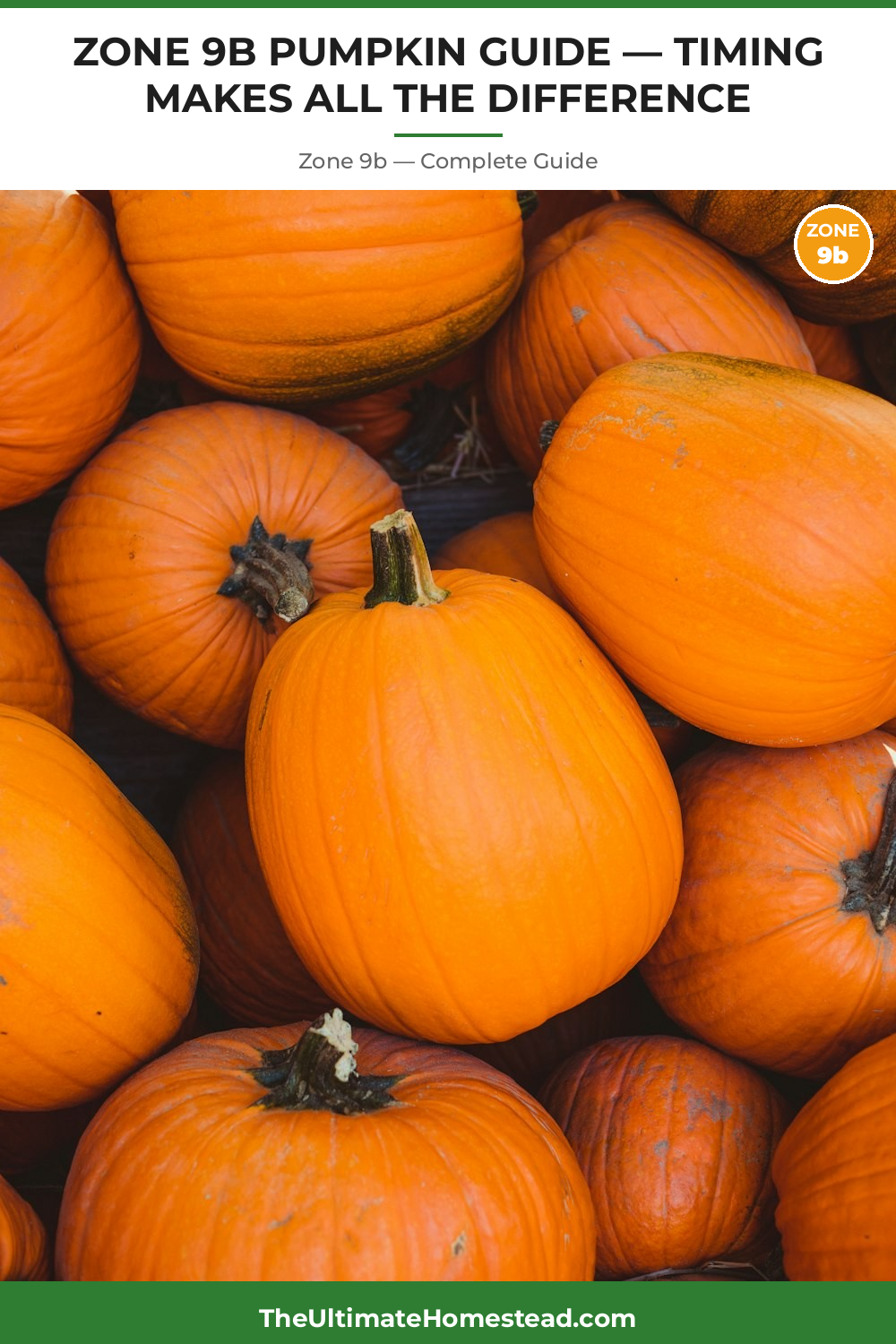 When to Plant Pumpkin in Zone 9b