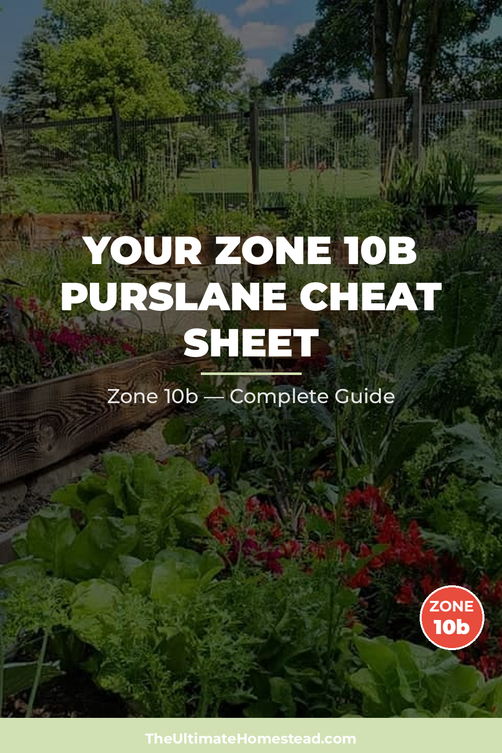 When to Plant Purslane in Zone 10b