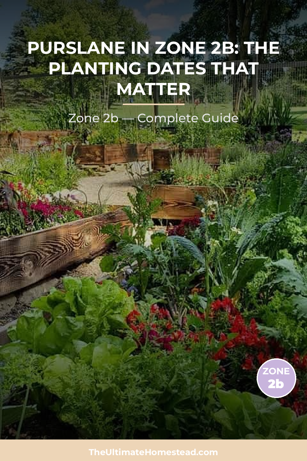 When to Plant Purslane in Zone 2b