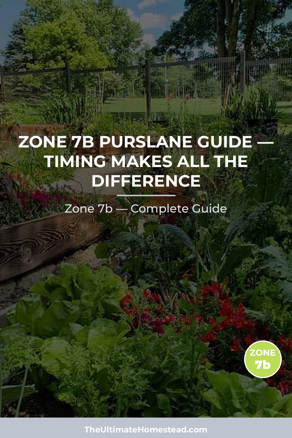 When to Plant Purslane in Zone 7b