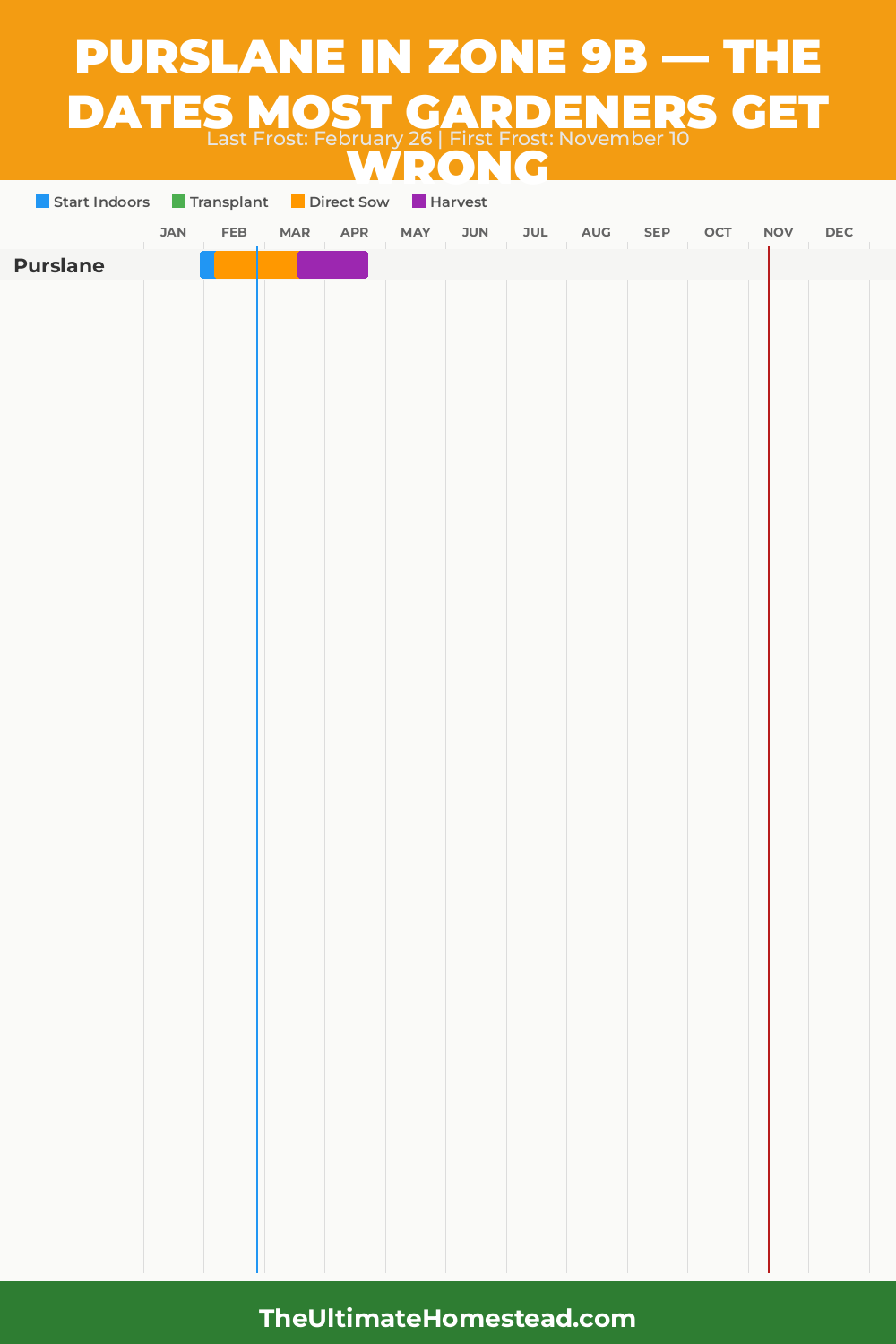 When to Plant Purslane in Zone 9b