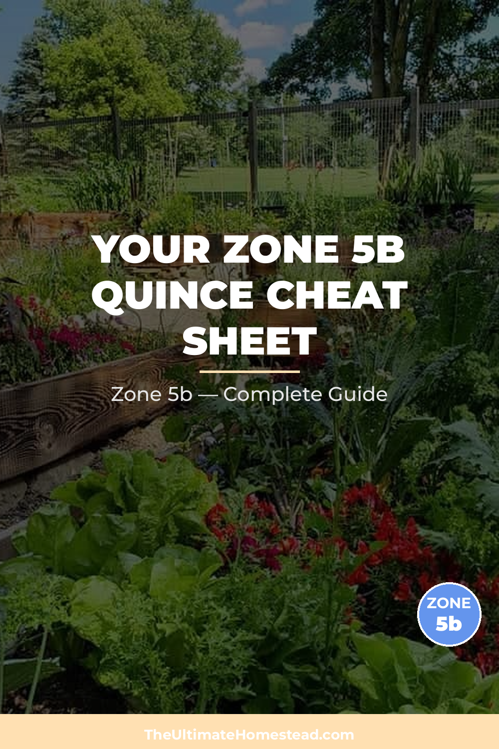 When to Plant Quince in Zone 5b