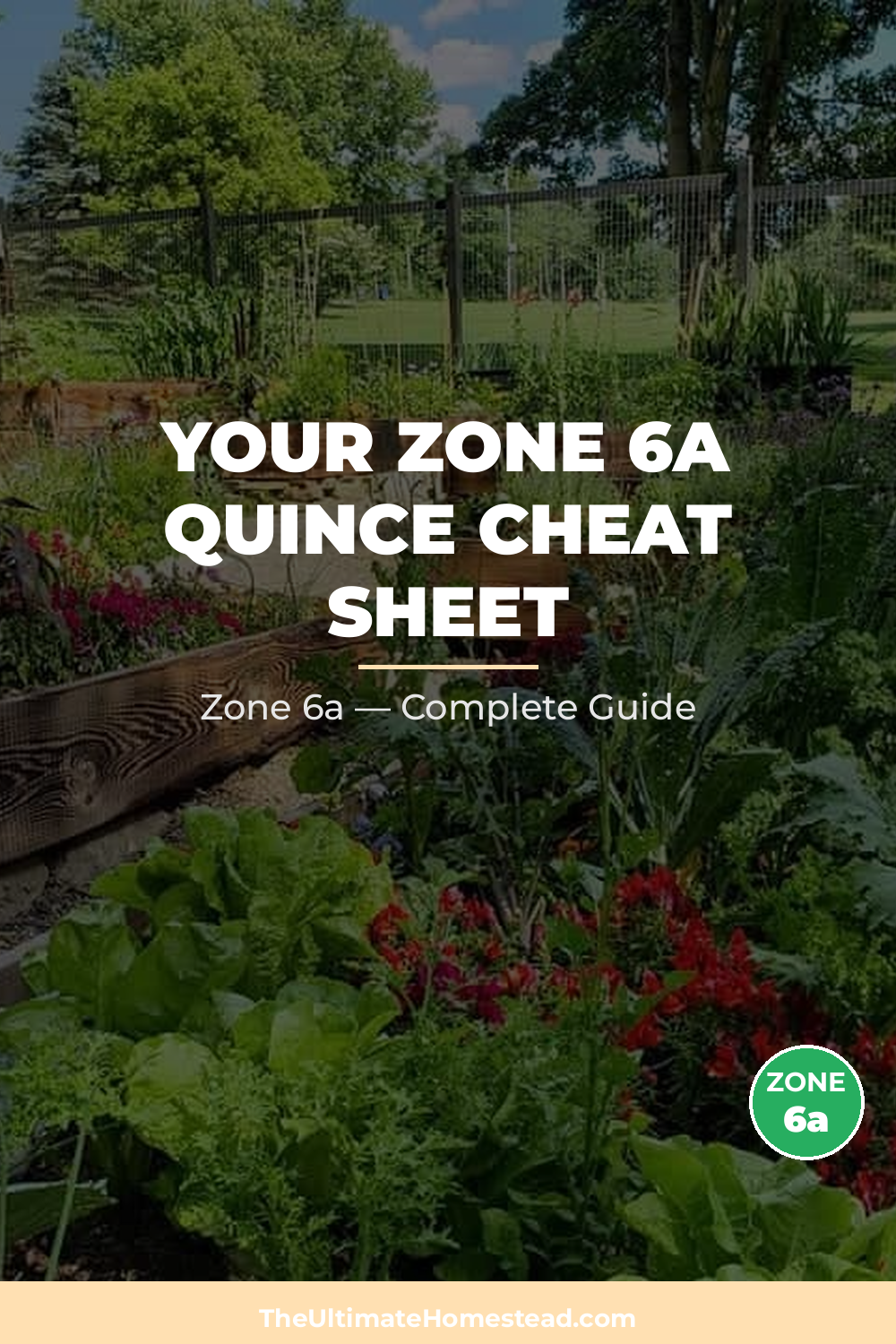 When to Plant Quince in Zone 6a