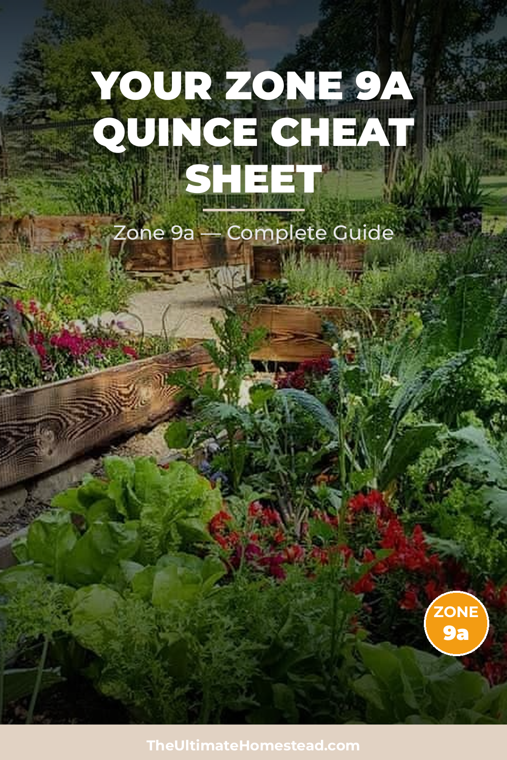 When to Plant Quince in Zone 9a