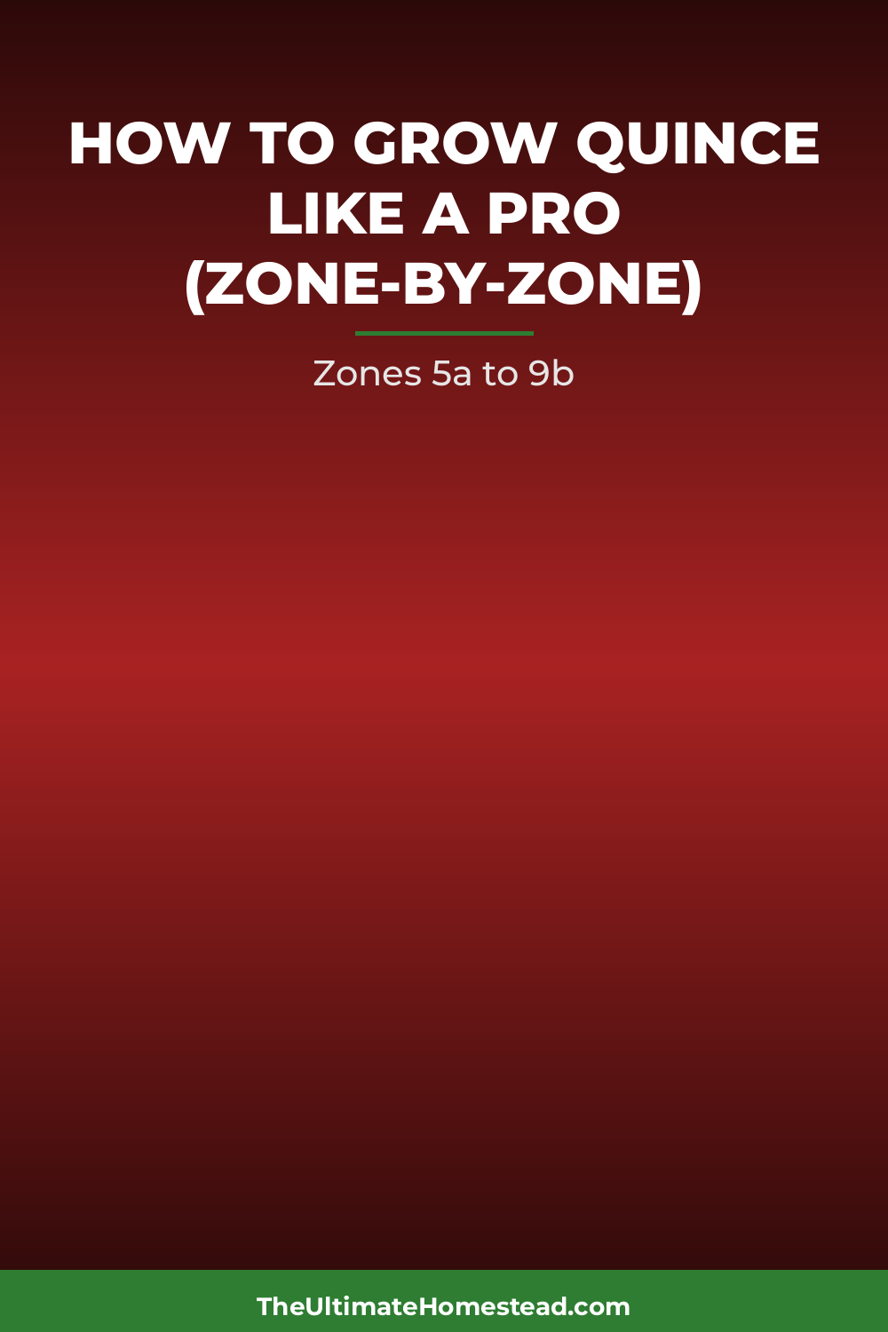 Quince Planting Guide