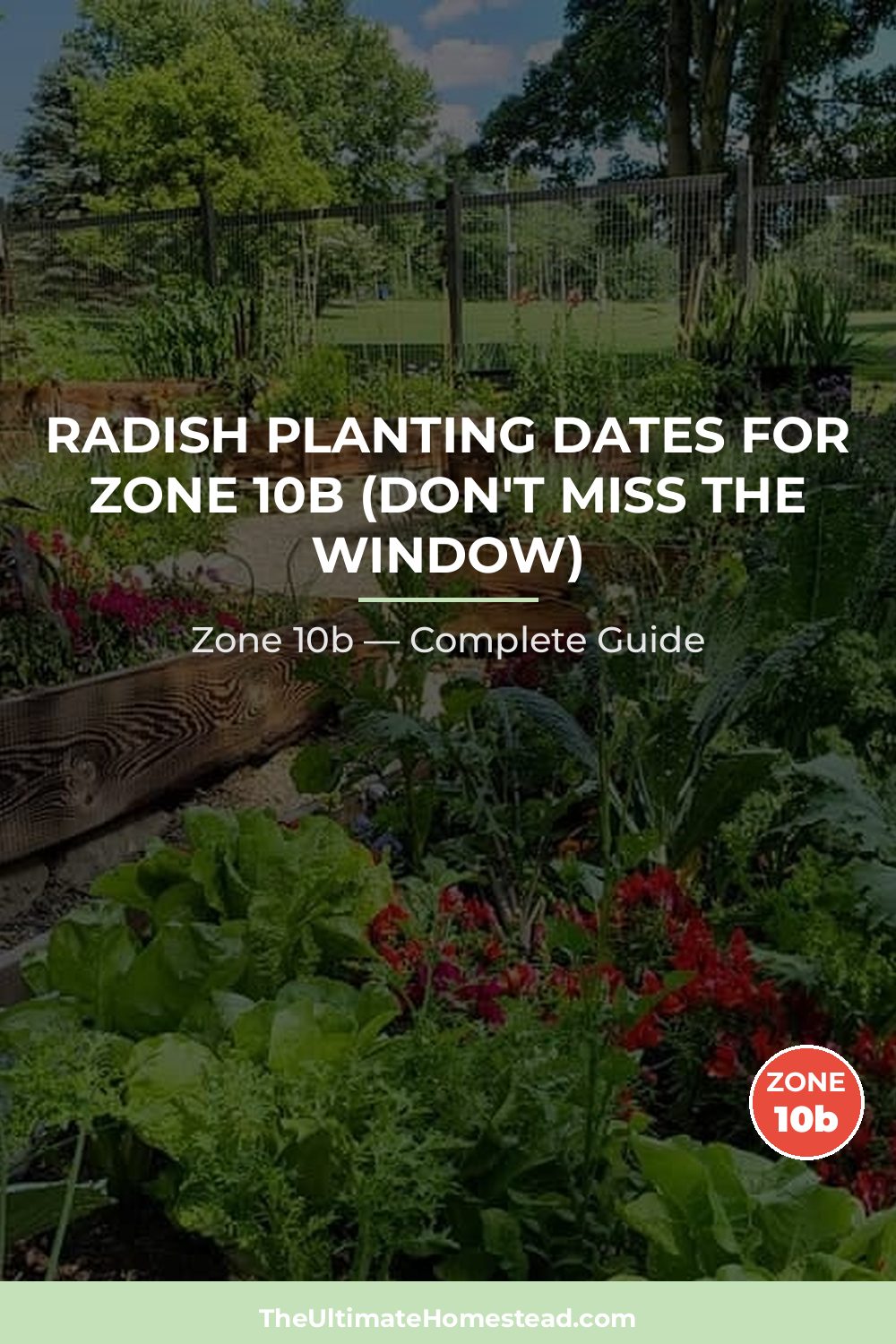 When to Plant Radish in Zone 10b