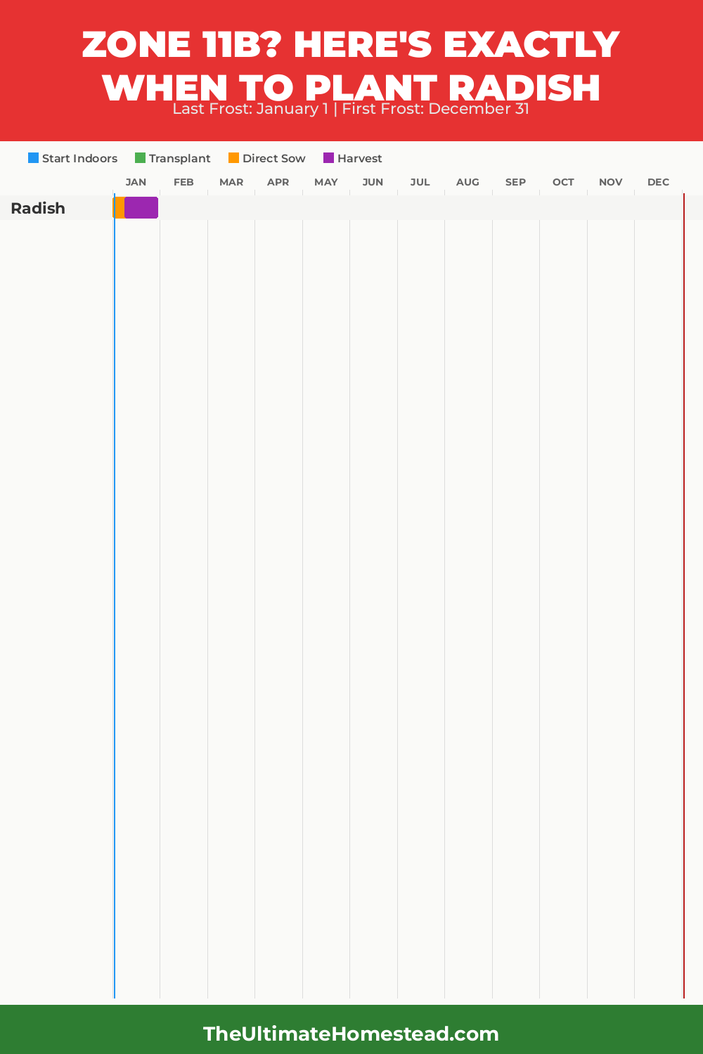 When to Plant Radish in Zone 11b
