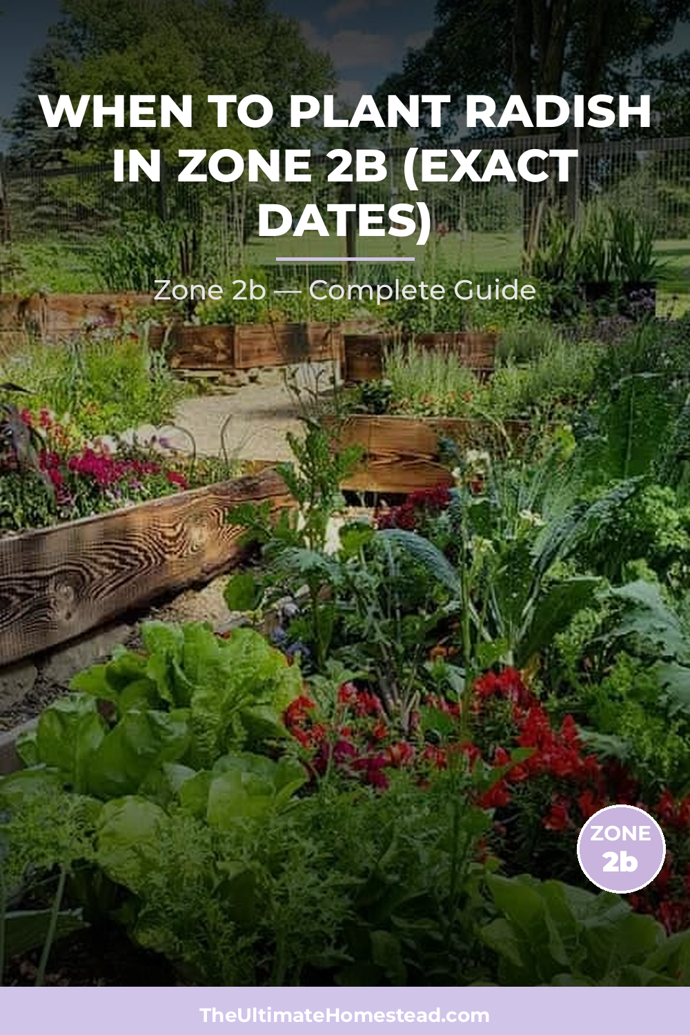 When to Plant Radish in Zone 2b