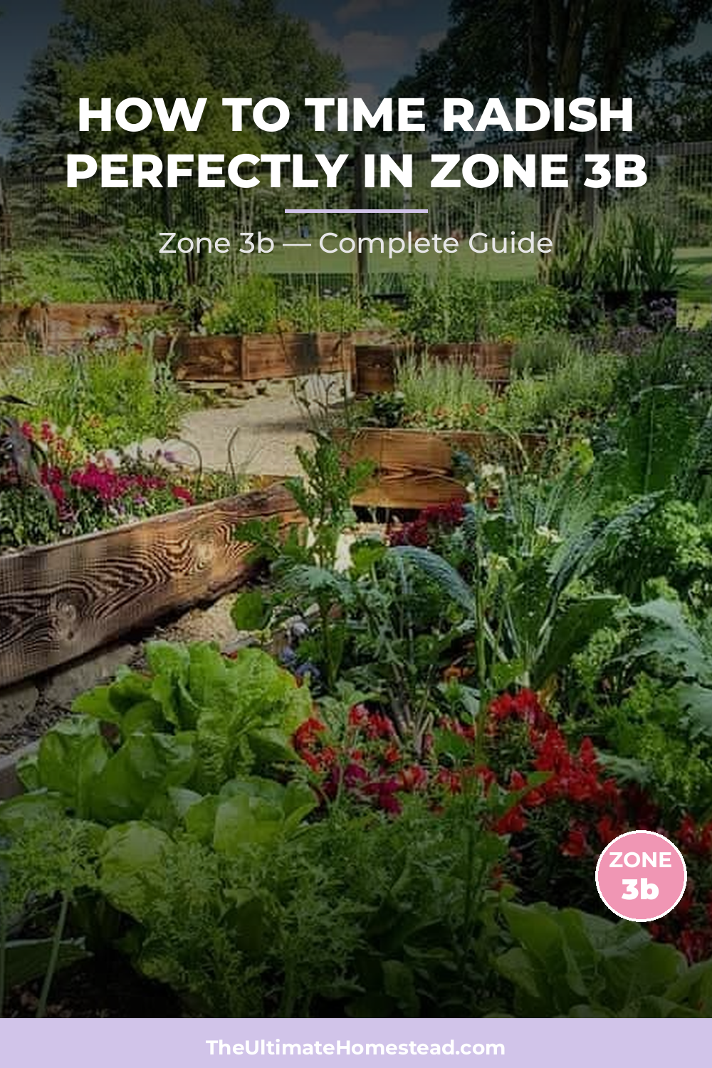 When to Plant Radish in Zone 3b