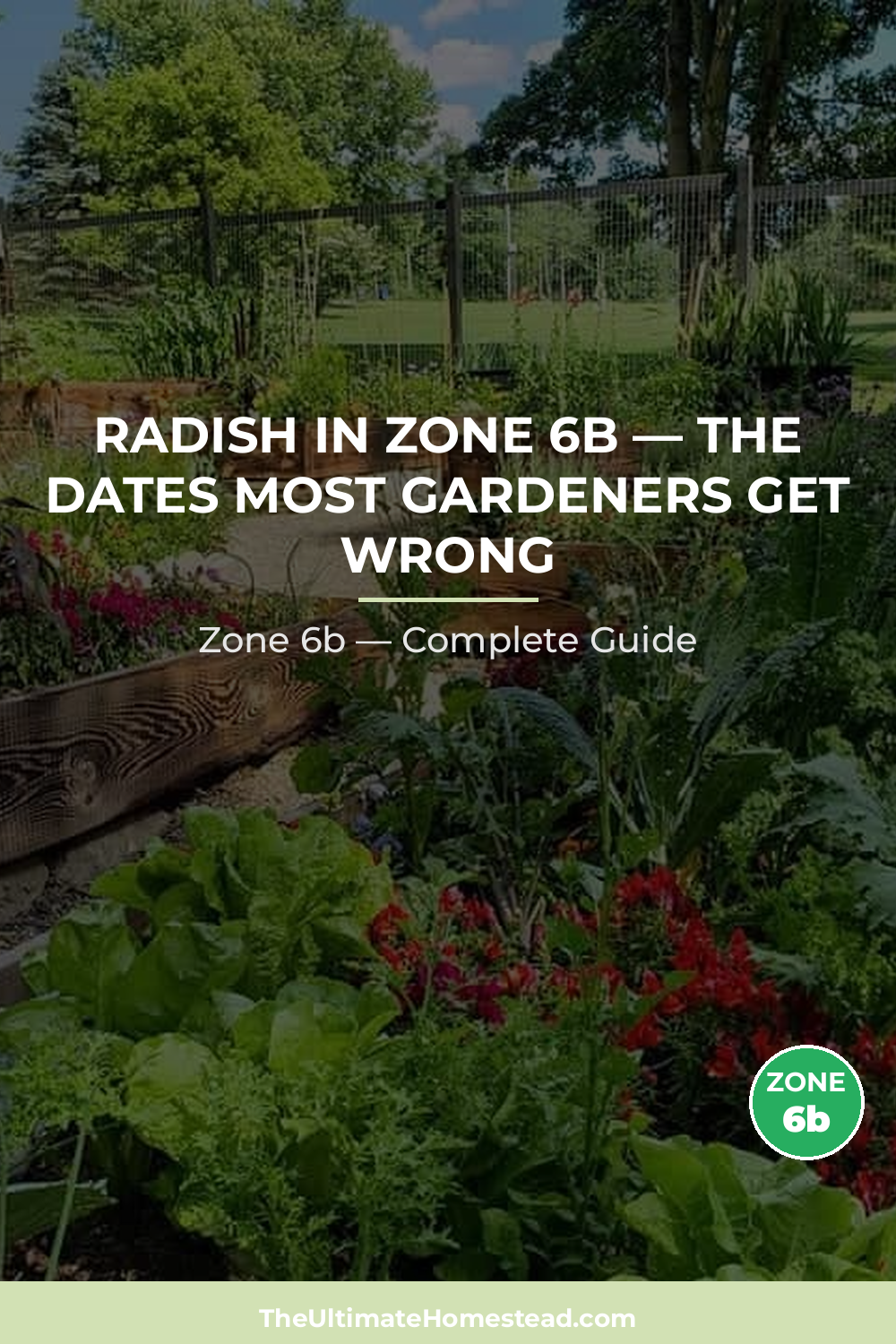 When to Plant Radish in Zone 6b