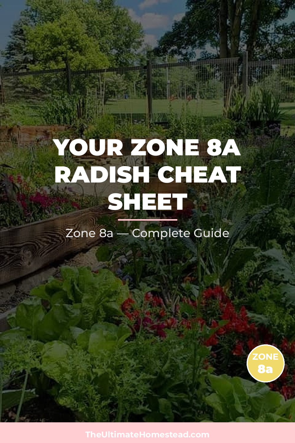 When to Plant Radish in Zone 8a