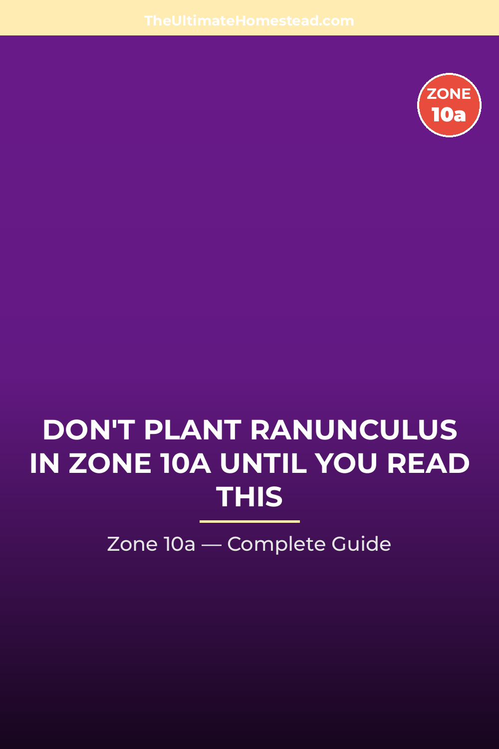 When to Plant Ranunculus in Zone 10a