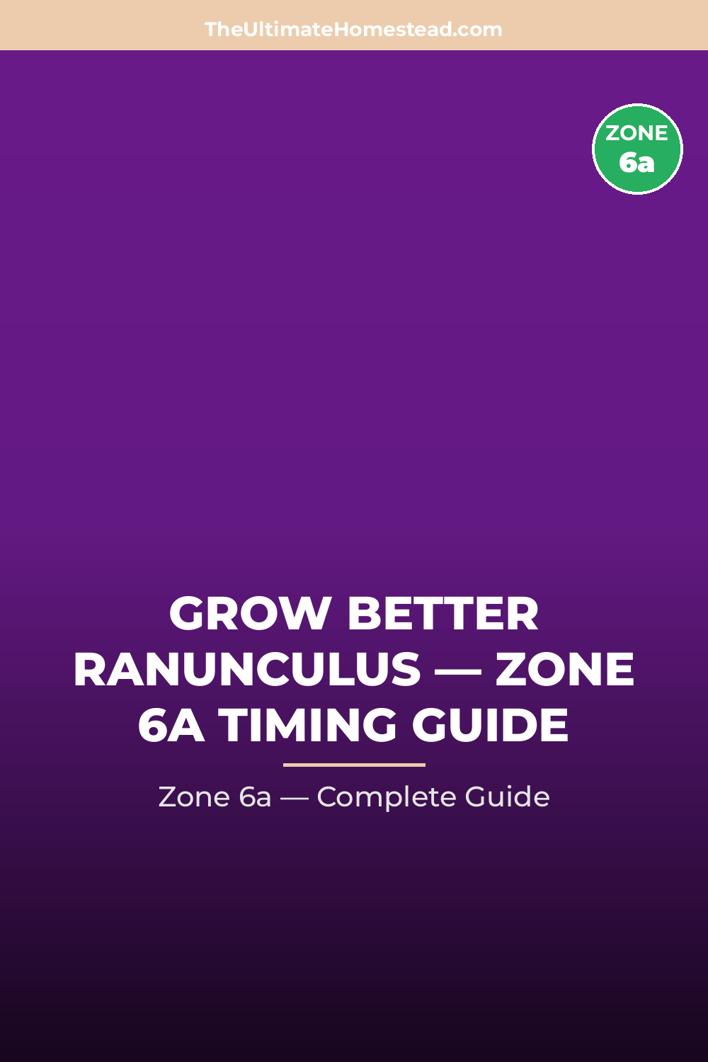 When to Plant Ranunculus in Zone 6a