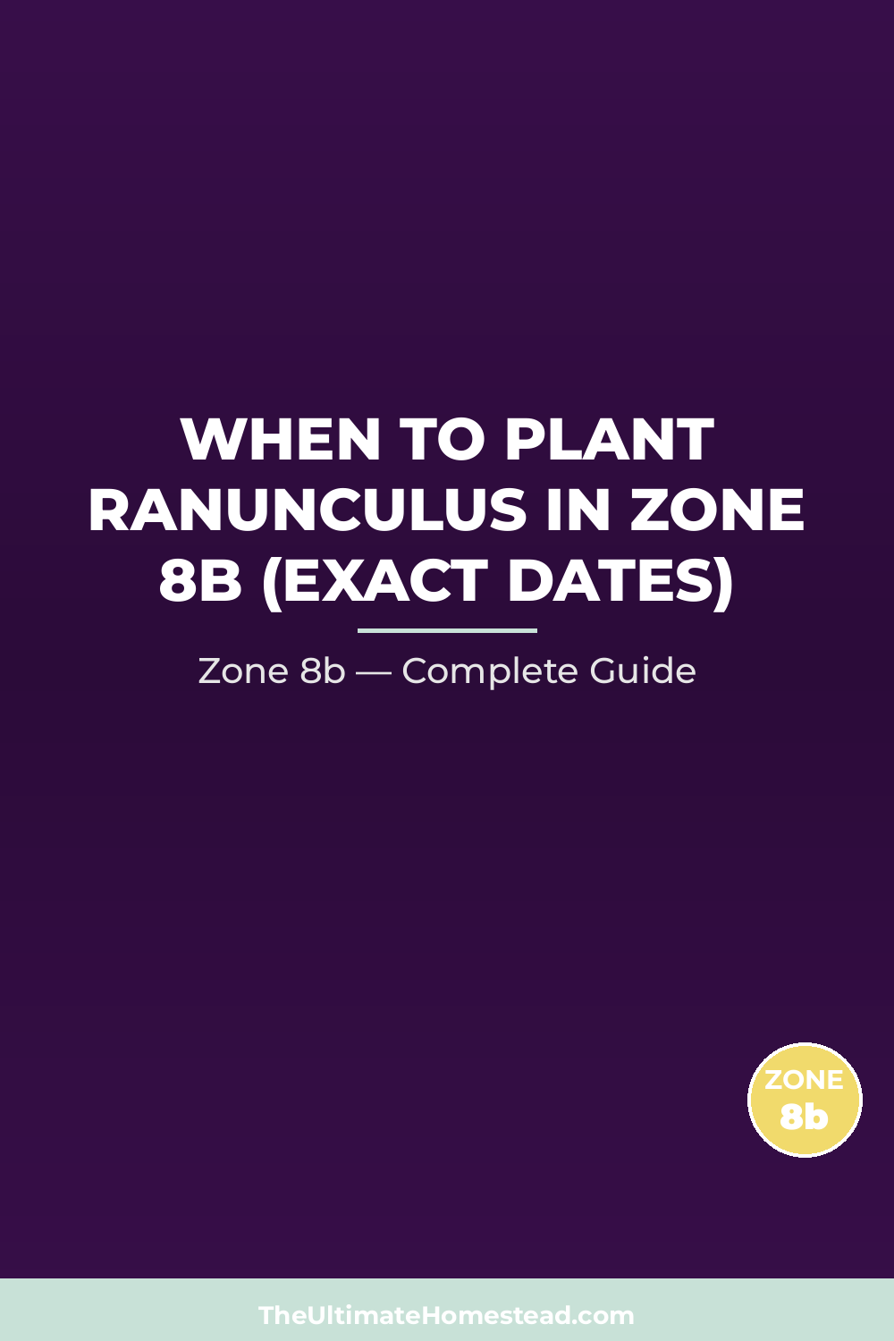 When to Plant Ranunculus in Zone 8b