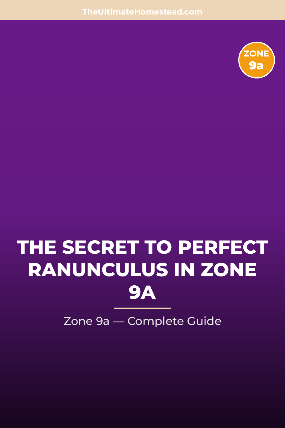 When to Plant Ranunculus in Zone 9a