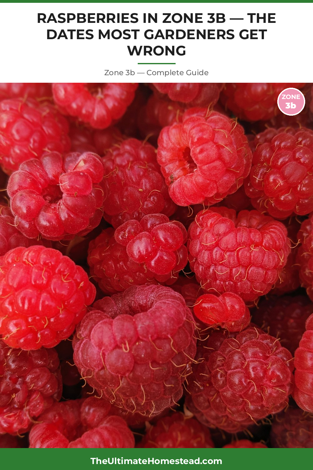 When to Plant Raspberries in Zone 3b