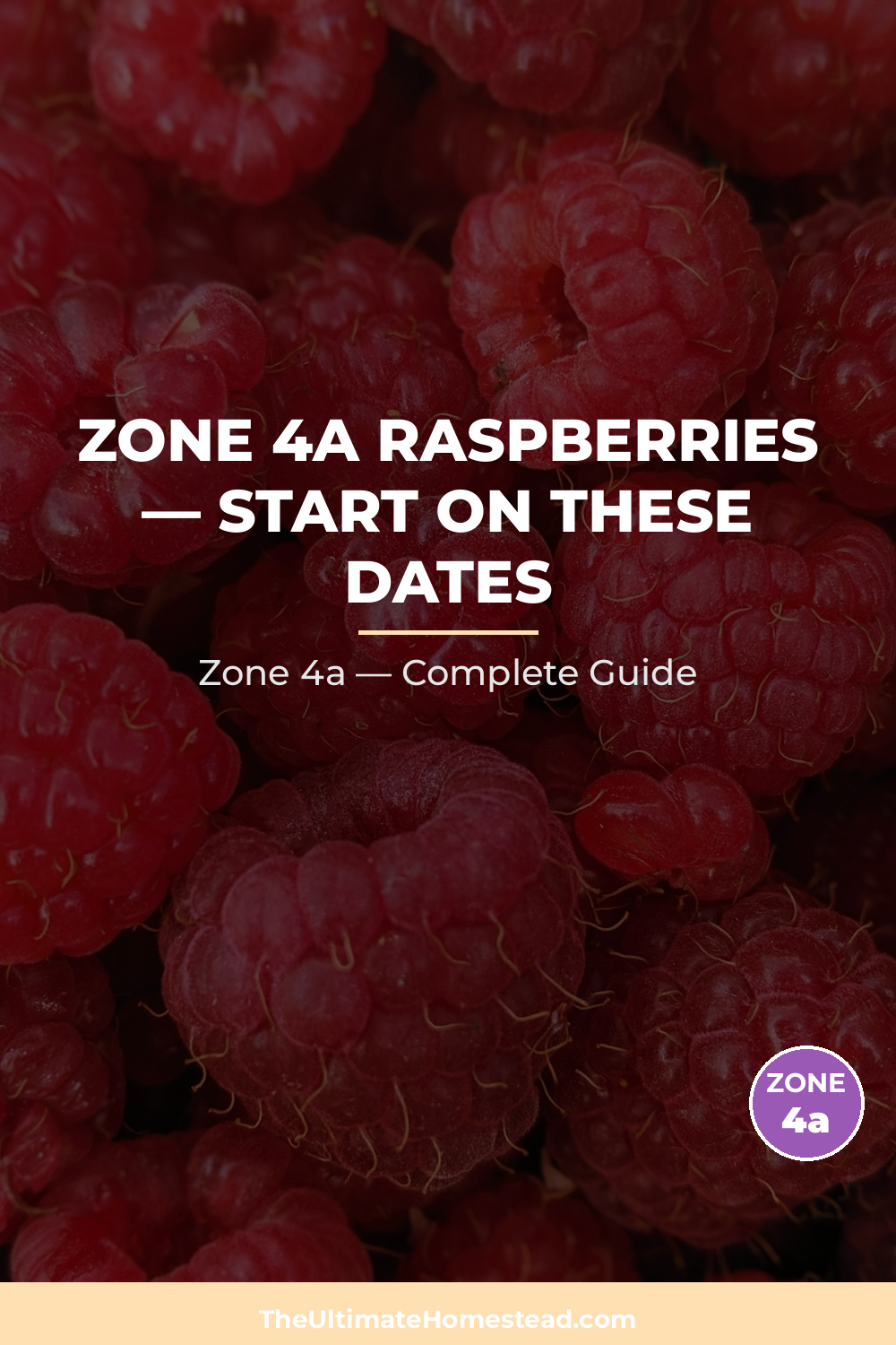 When to Plant Raspberries in Zone 4a