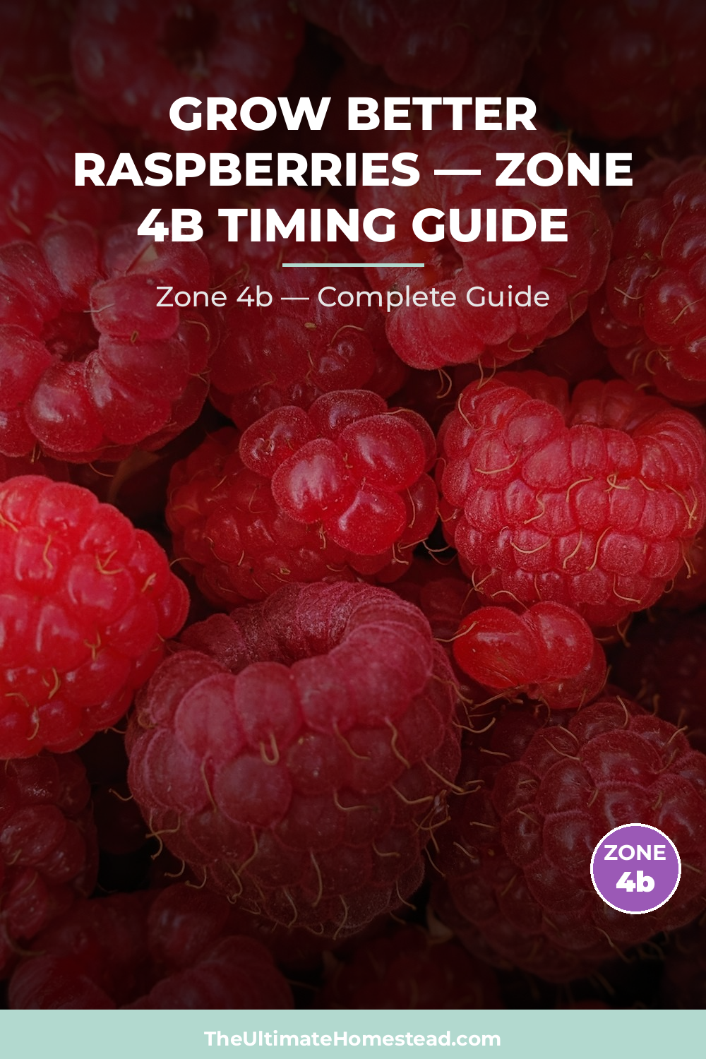 When to Plant Raspberries in Zone 4b
