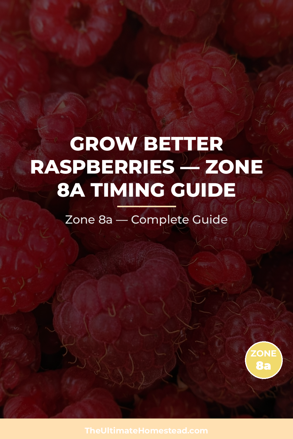 When to Plant Raspberries in Zone 8a