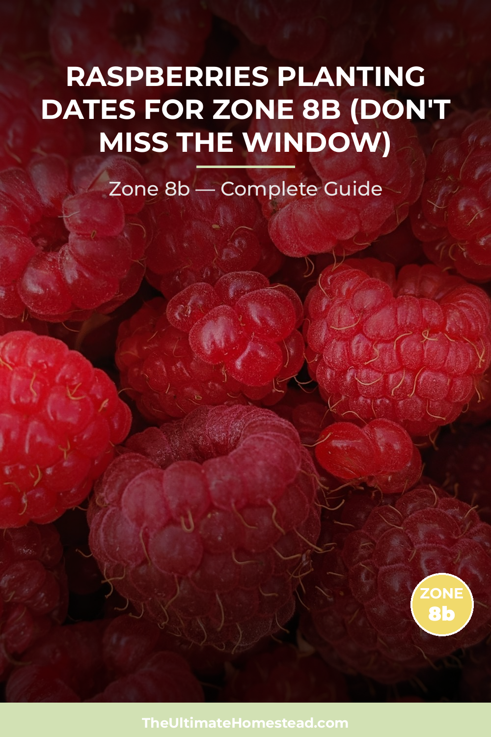 When to Plant Raspberries in Zone 8b