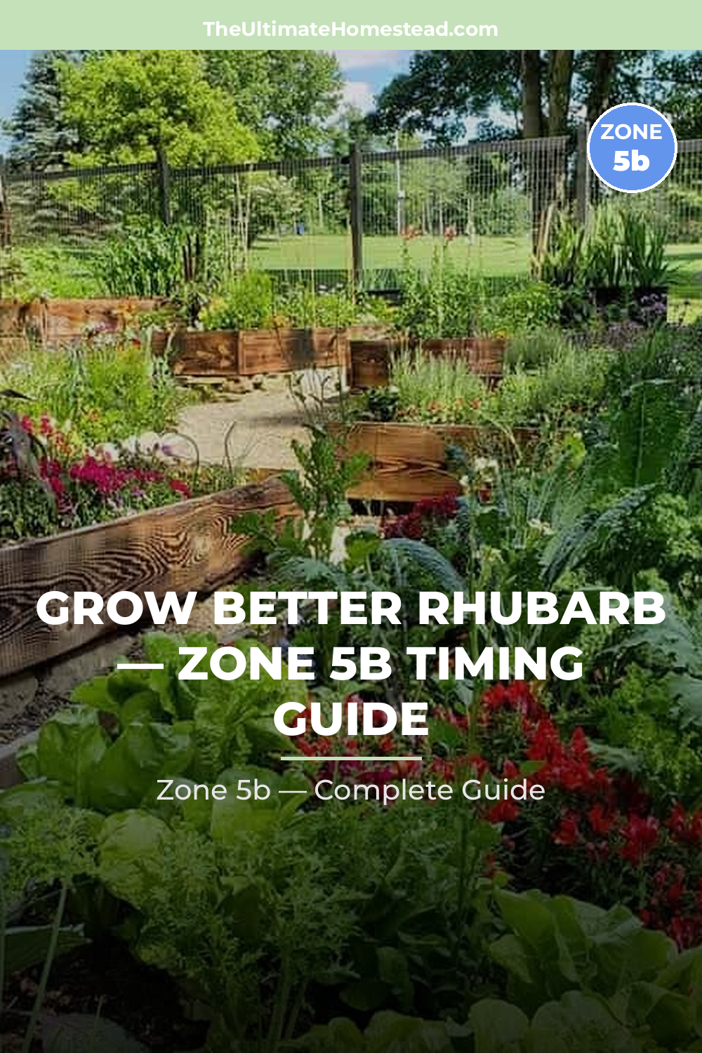 When to Plant Rhubarb in Zone 5b