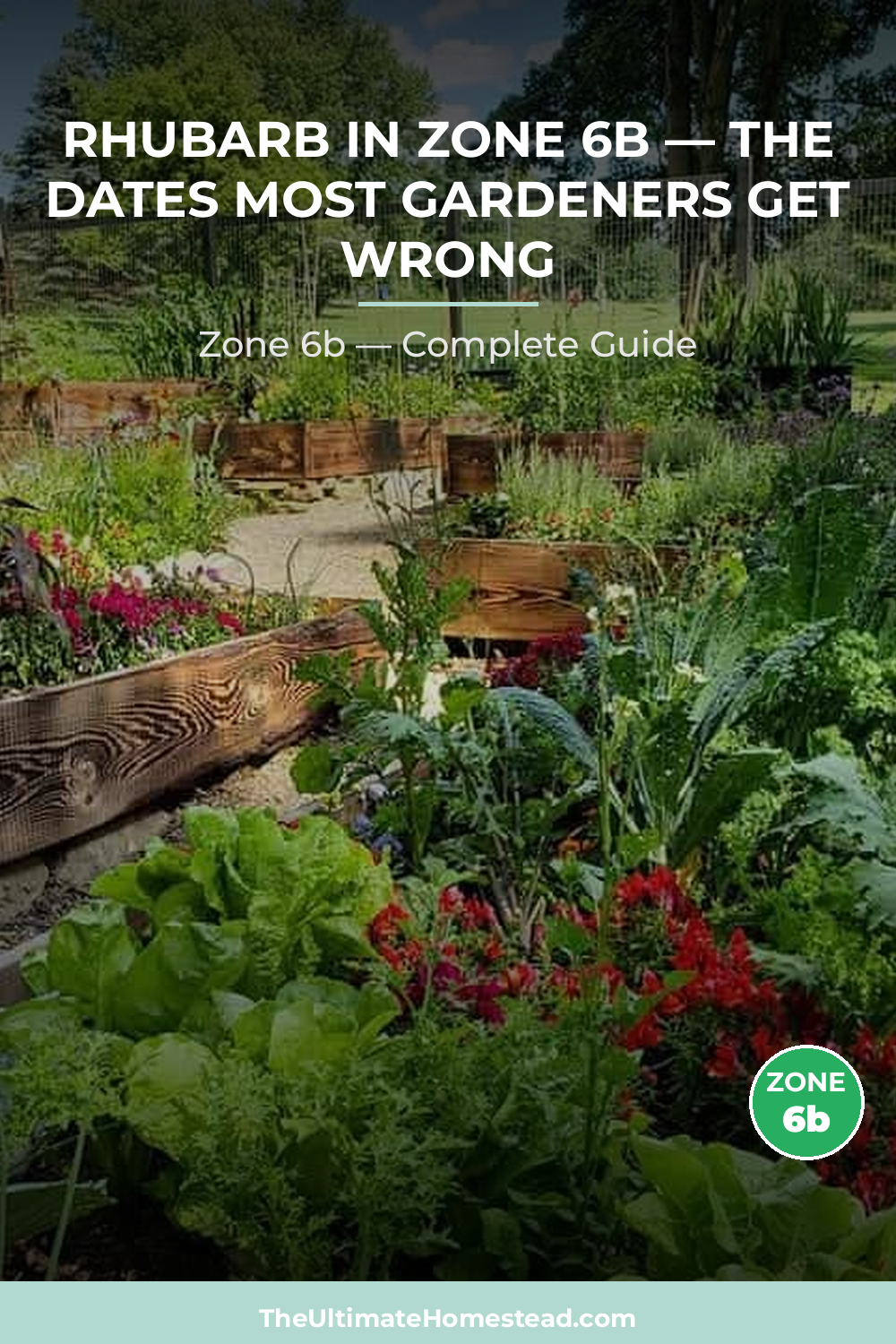 When to Plant Rhubarb in Zone 6b
