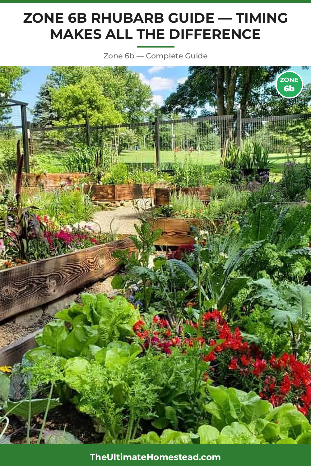 When to Plant Rhubarb in Zone 6b