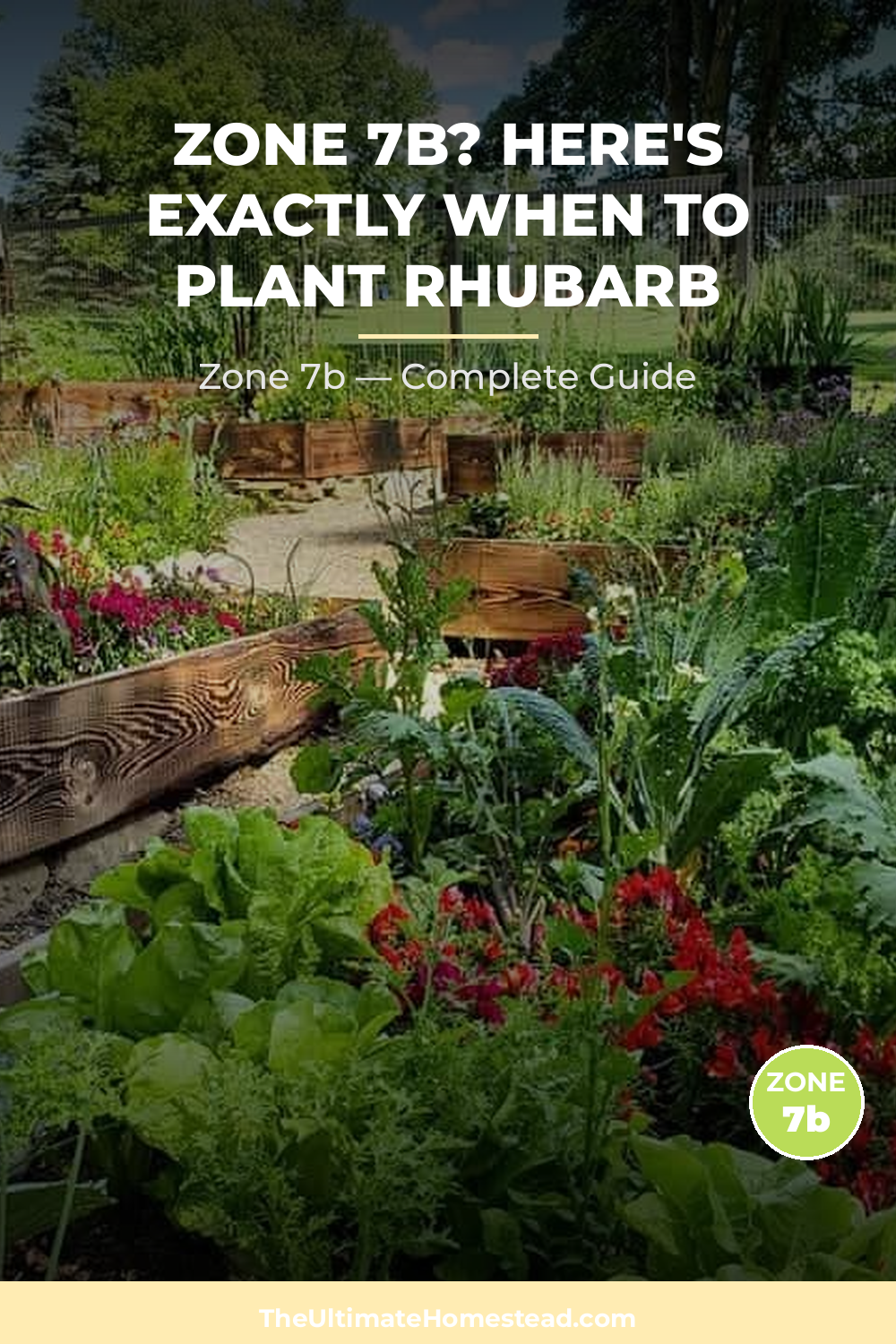 When to Plant Rhubarb in Zone 7b