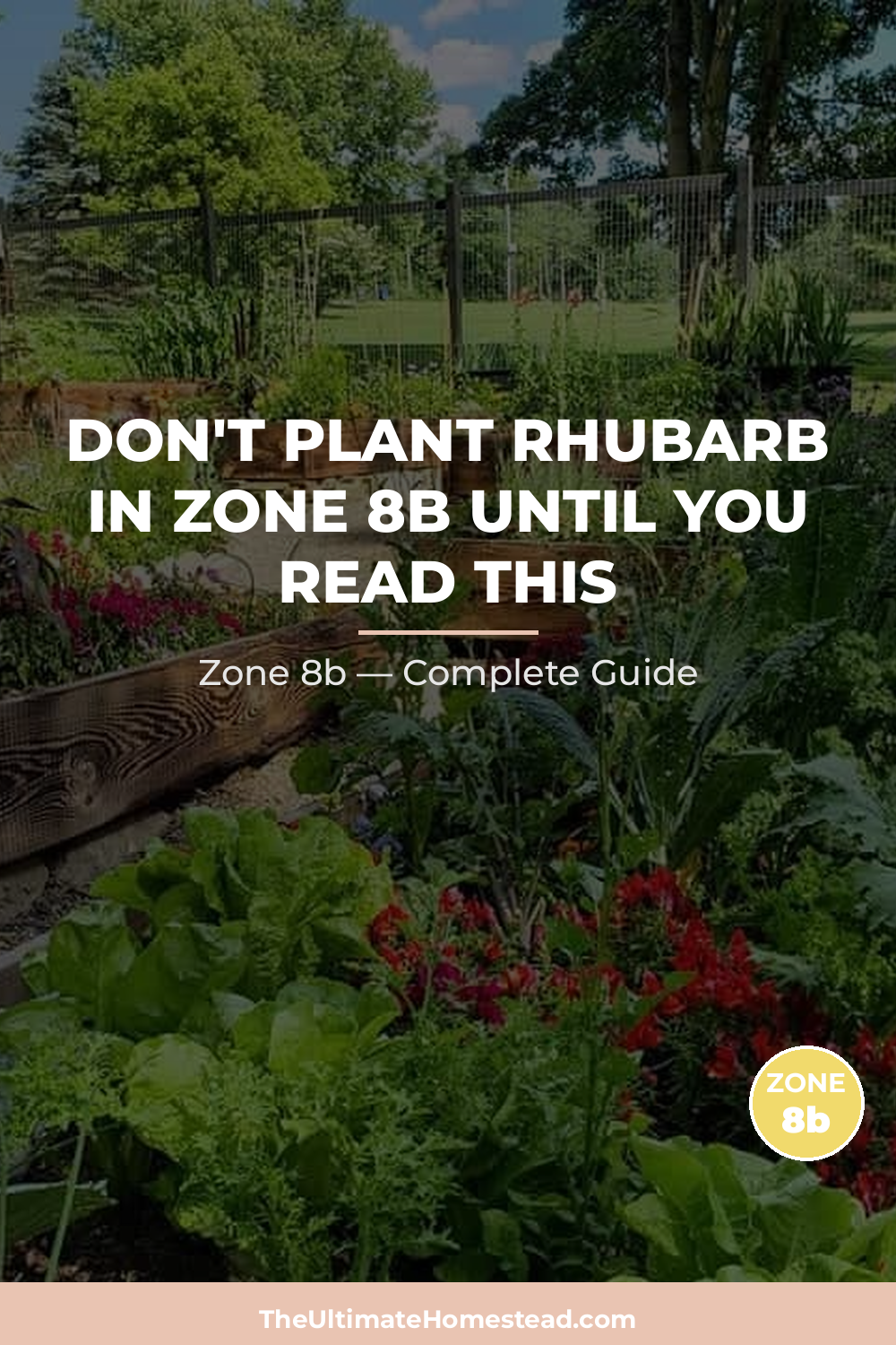 When to Plant Rhubarb in Zone 8b