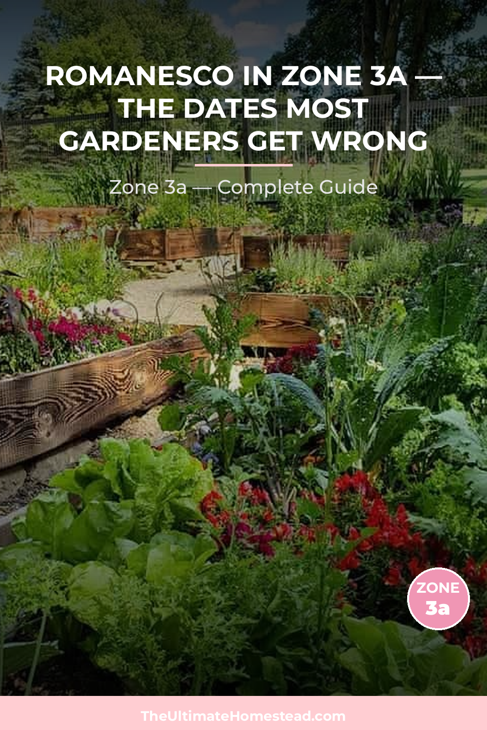 When to Plant Romanesco in Zone 3a