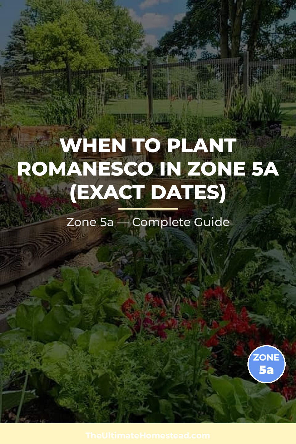 When to Plant Romanesco in Zone 5a