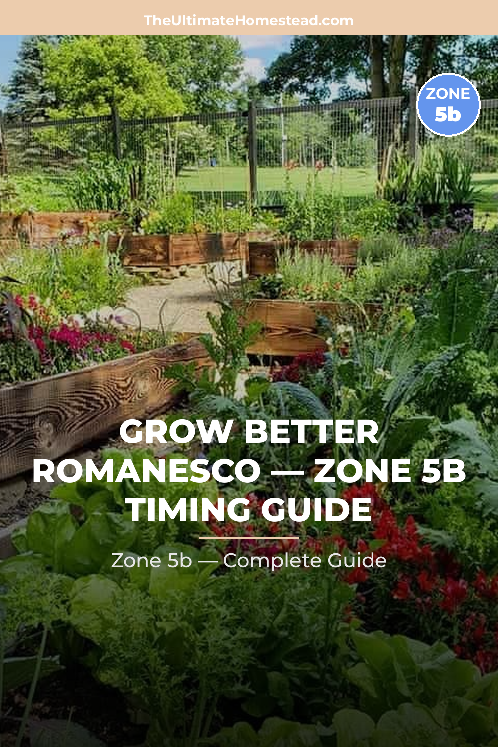 When to Plant Romanesco in Zone 5b