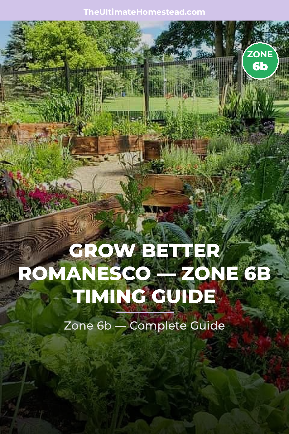 When to Plant Romanesco in Zone 6b