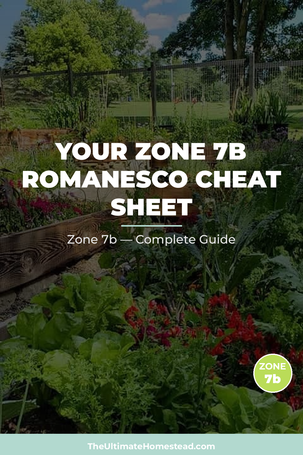 When to Plant Romanesco in Zone 7b