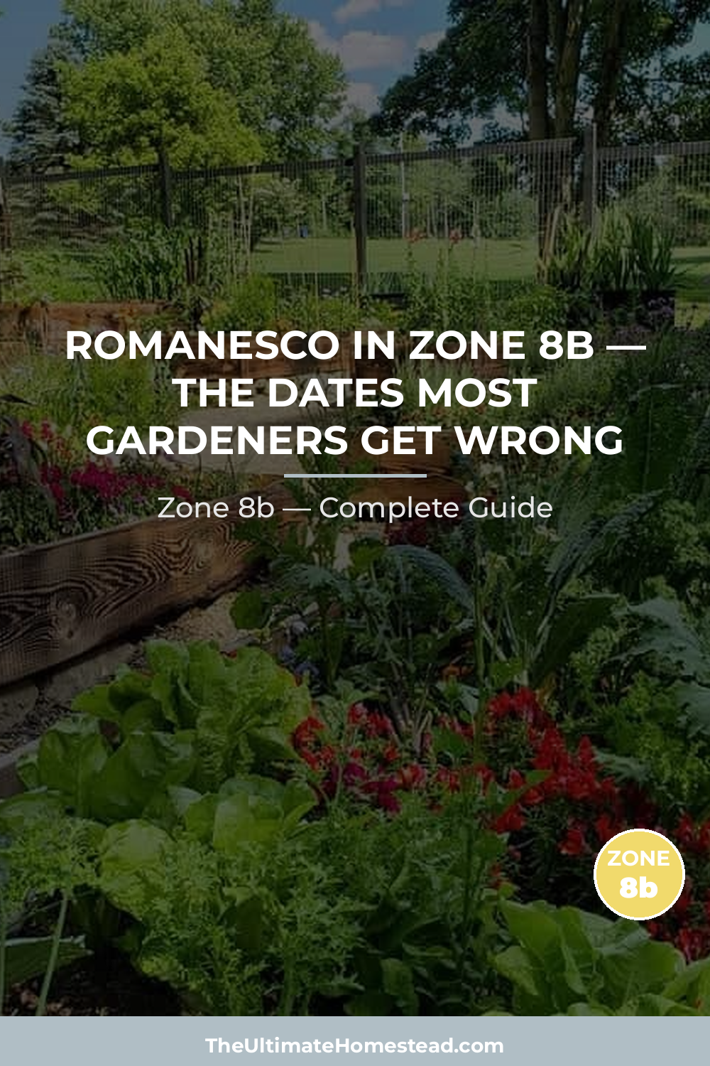 When to Plant Romanesco in Zone 8b