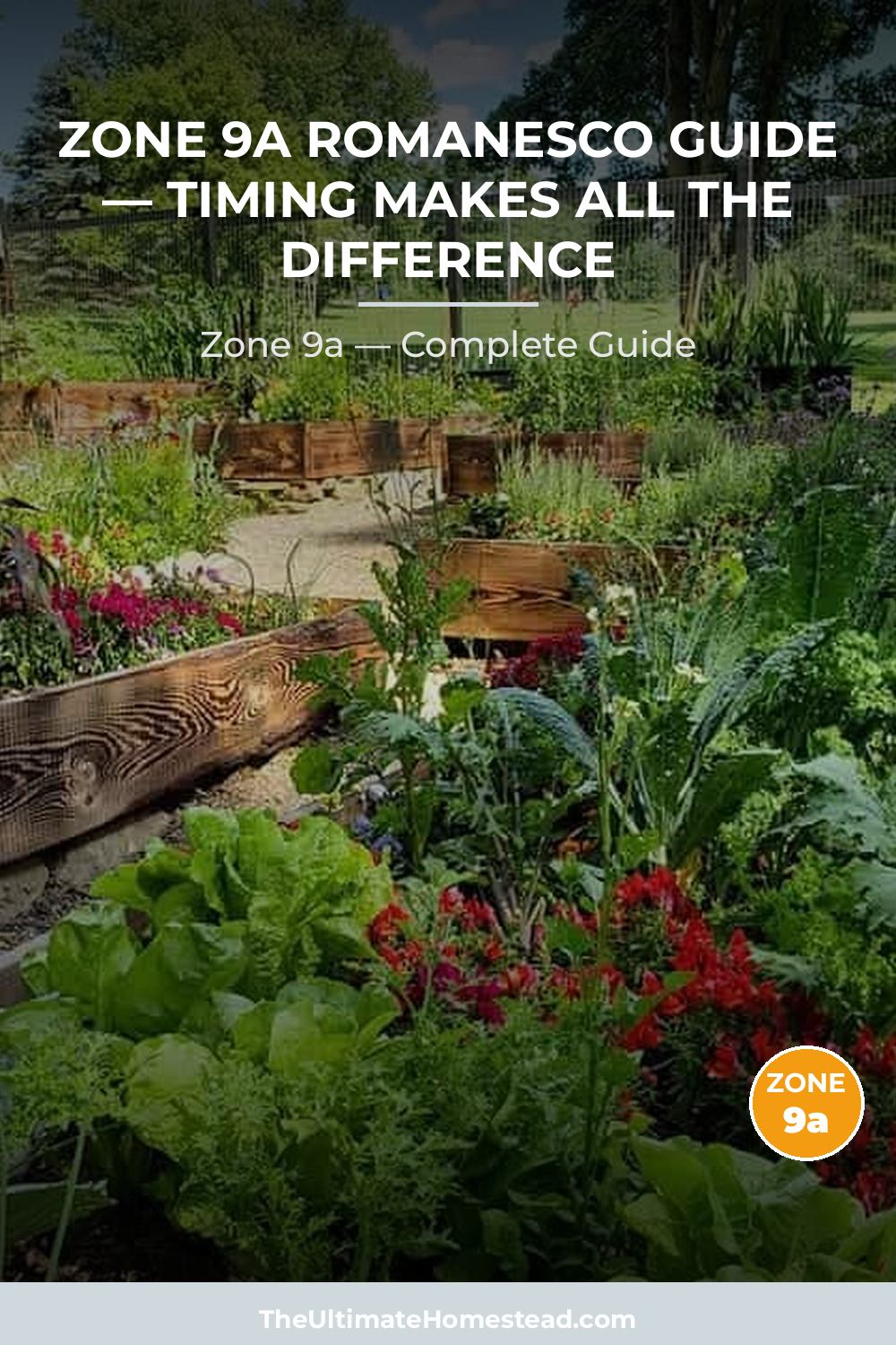 When to Plant Romanesco in Zone 9a