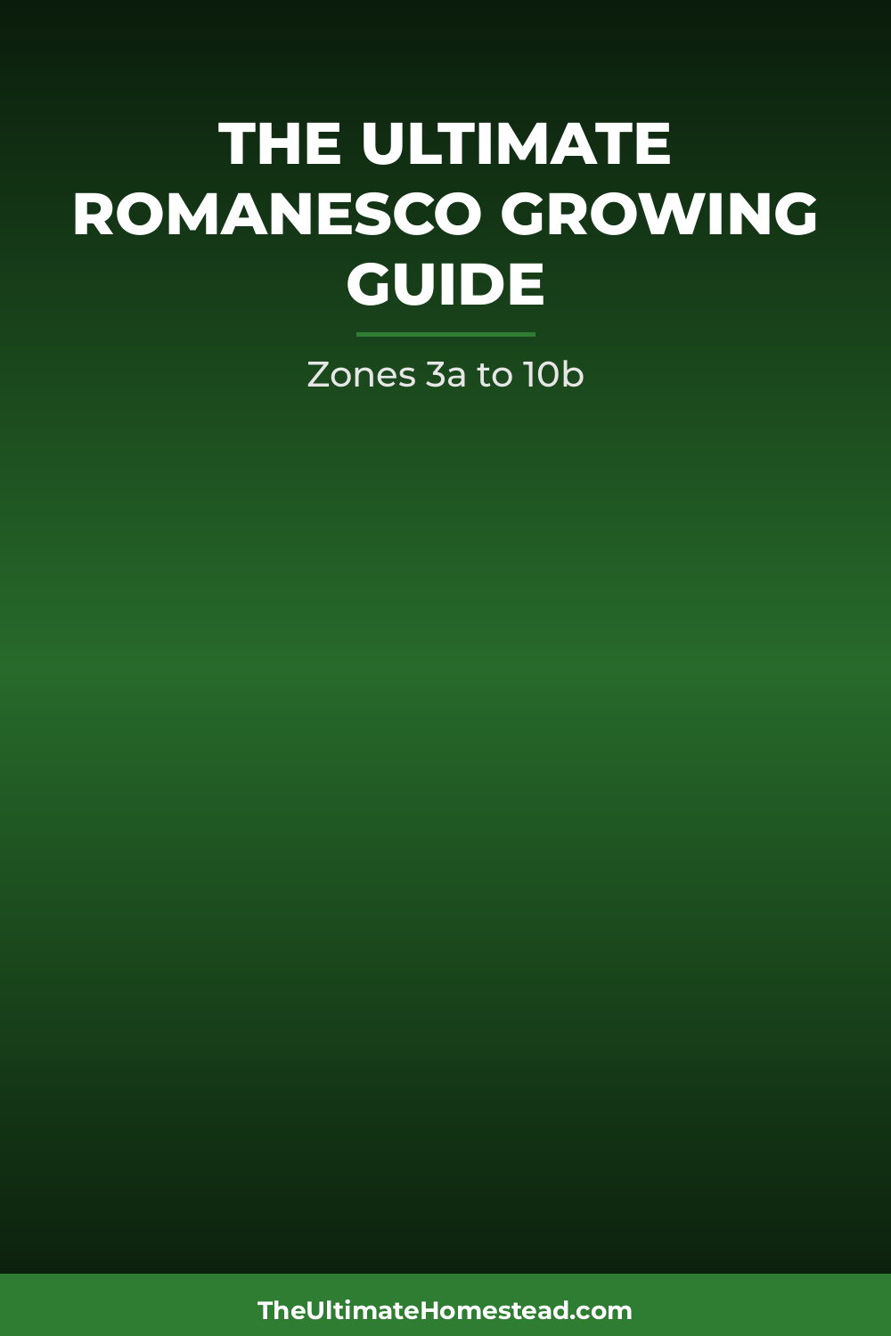 Romanesco Planting Guide