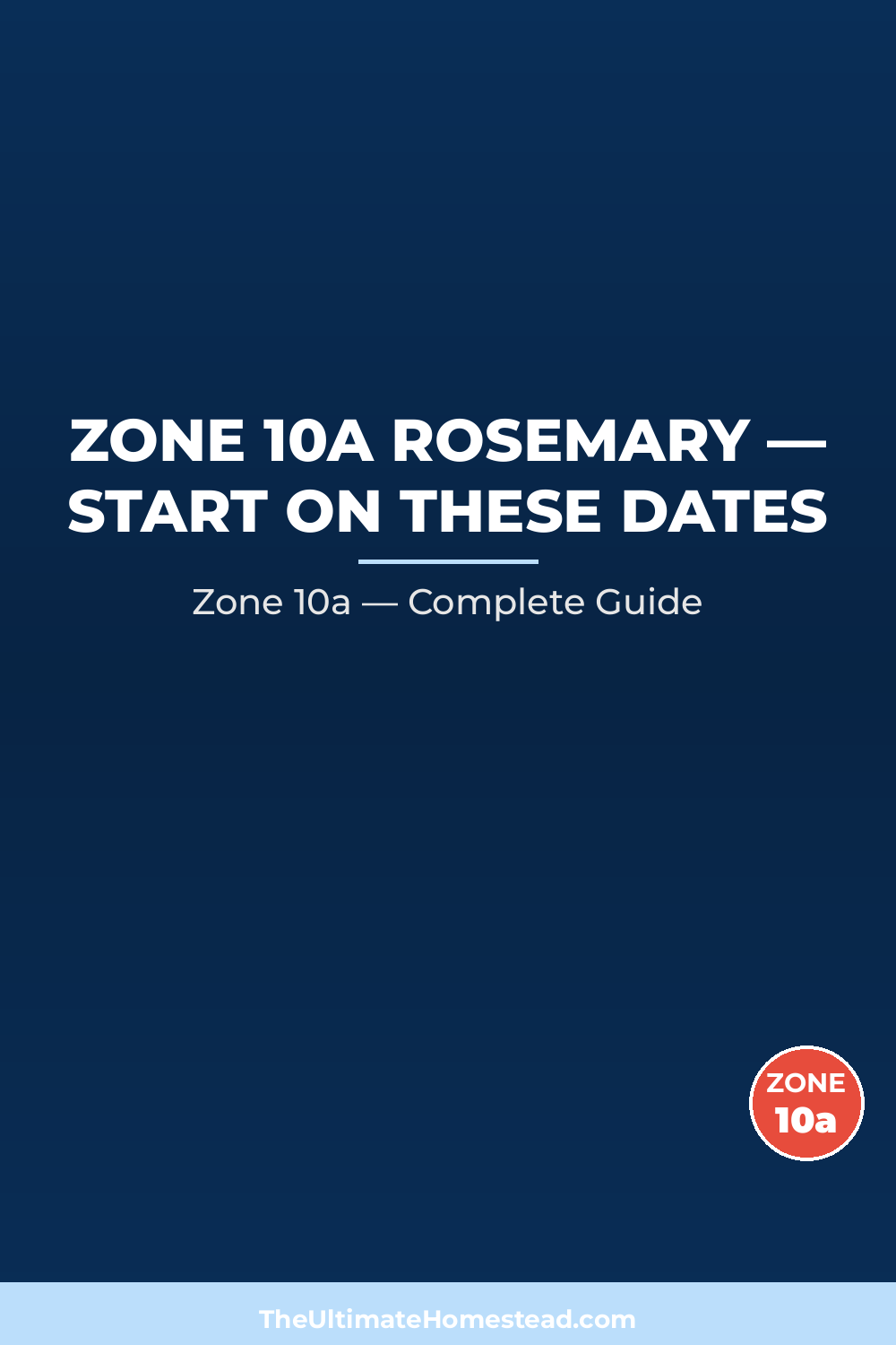 When to Plant Rosemary in Zone 10a