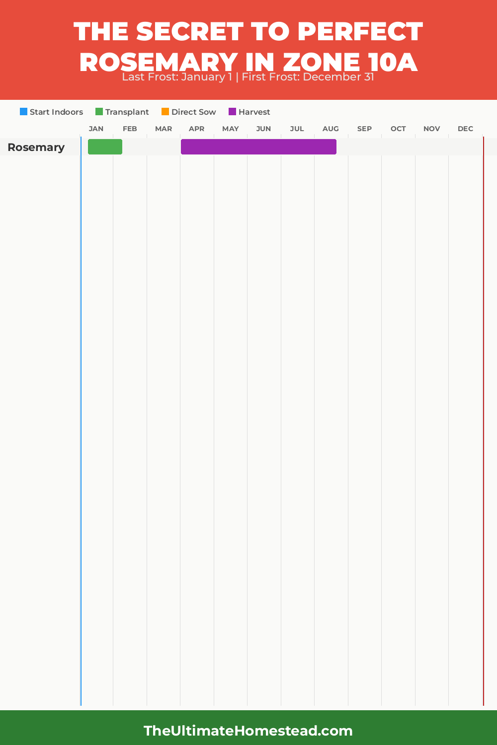 When to Plant Rosemary in Zone 10a