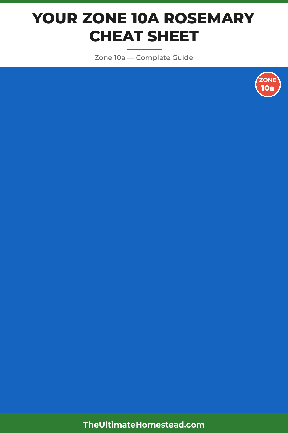 When to Plant Rosemary in Zone 10a