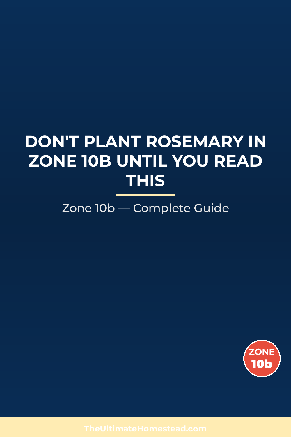 When to Plant Rosemary in Zone 10b