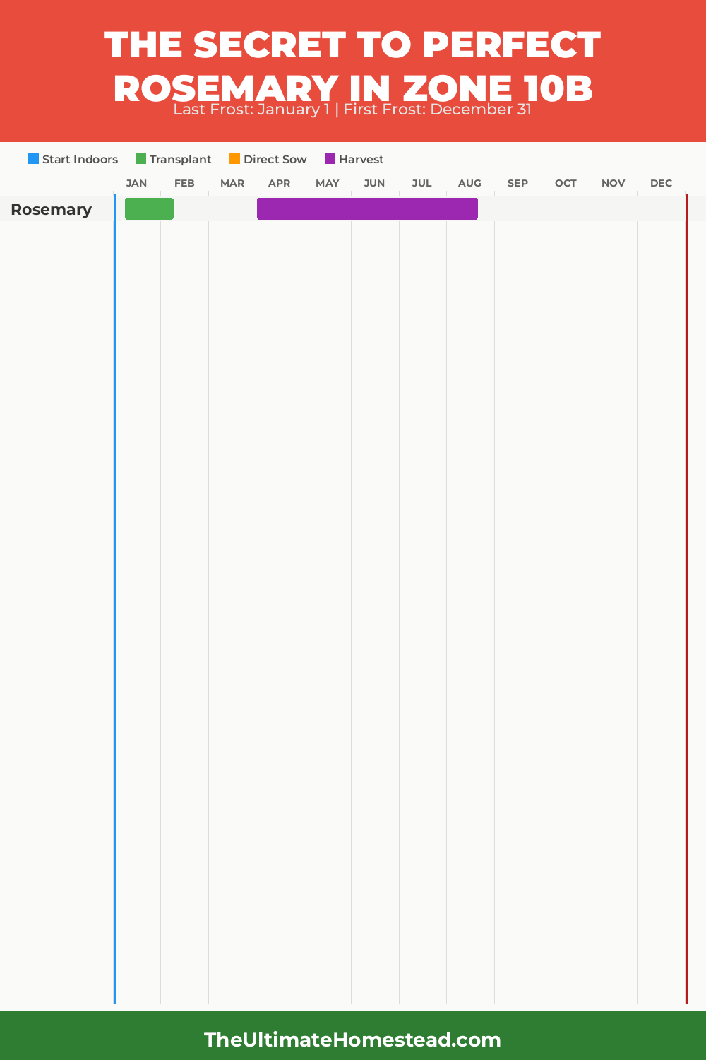 When to Plant Rosemary in Zone 10b