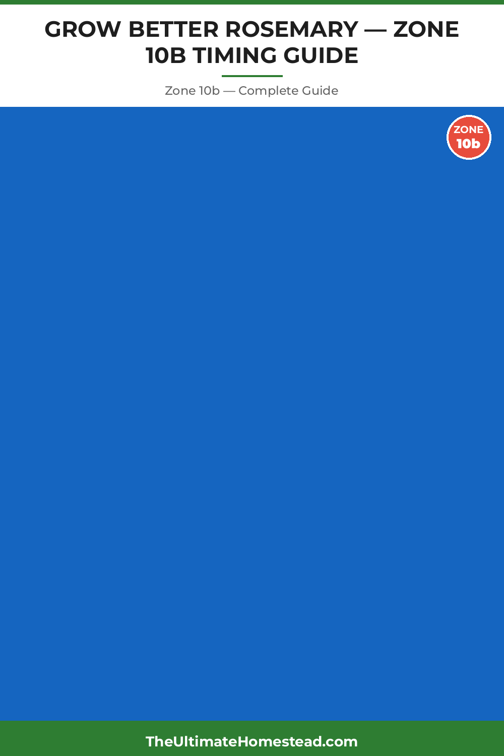 When to Plant Rosemary in Zone 10b