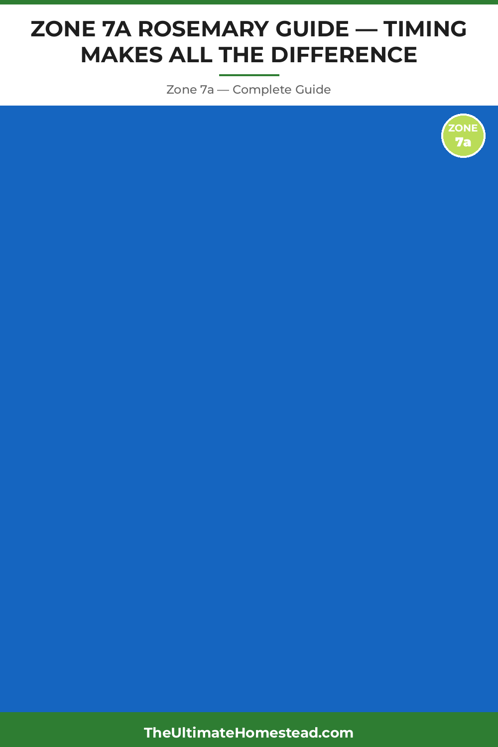 When to Plant Rosemary in Zone 7a