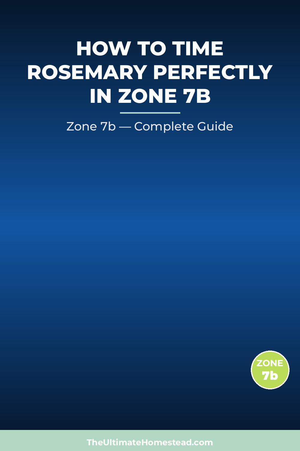 When to Plant Rosemary in Zone 7b