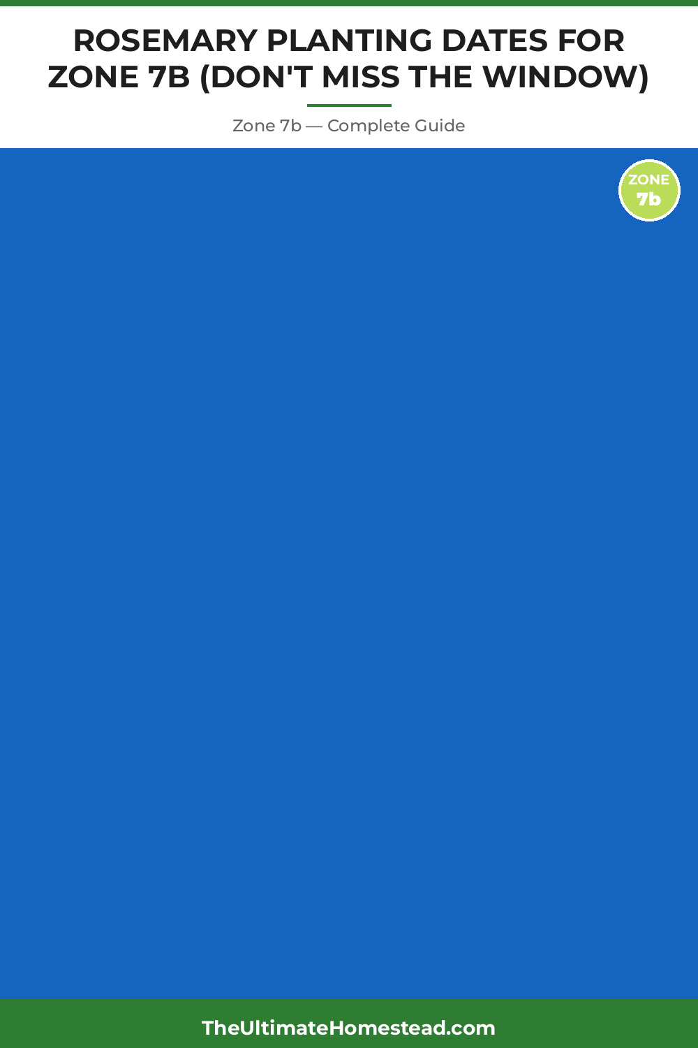 When to Plant Rosemary in Zone 7b