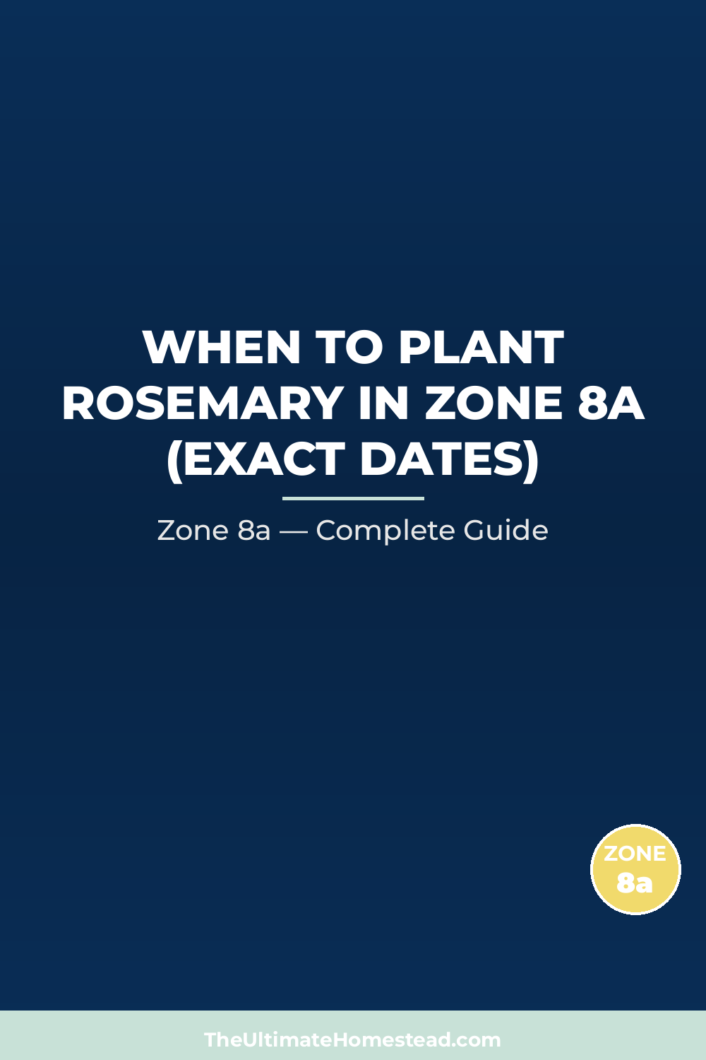 When to Plant Rosemary in Zone 8a