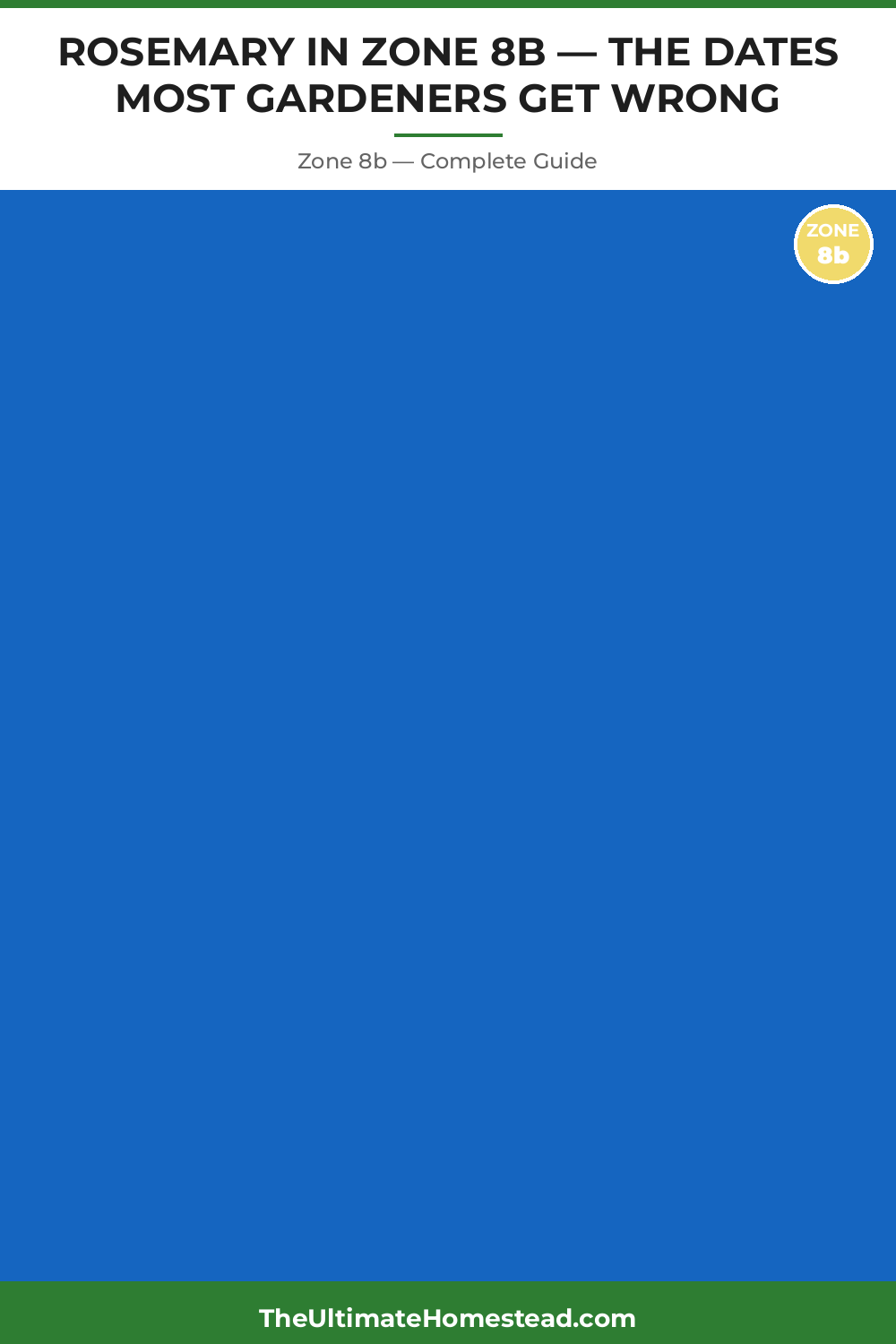 When to Plant Rosemary in Zone 8b