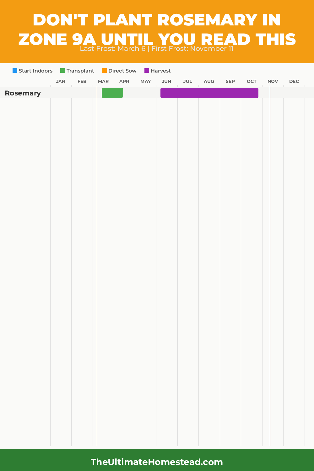 When to Plant Rosemary in Zone 9a