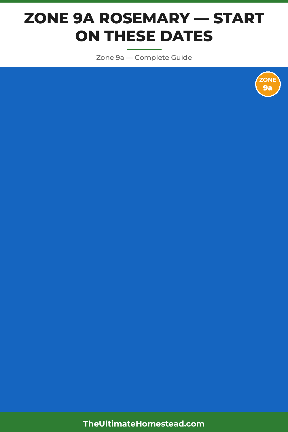 When to Plant Rosemary in Zone 9a